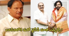 Janasena Party: బాలినేని అండతో జనసేనలోకి మరో వైసీపీ మాజీ ఎమ్మెల్యే?