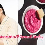 Hibiscus Hair Mask: మందారంలో వీటిని కలిపి ఈ హెయిర్ మాస్క్ ట్రై చేశారంటే.. పట్టులాంటి జుట్టు మీ సొంతం