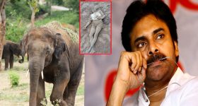 Prasanth Varma : ఇదేం స్వార్థం ప్రశాంత్ గారు... మీ కథ అయినంత మాత్రాన మీరే డబ్బులు పెట్టాలా..?