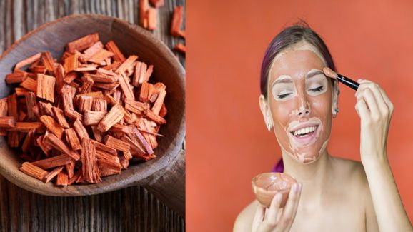 Red Sandalwood Face Packs: వావ్.. ఎర్ర చందనంతో ఈ ఫేస్ ప్యాక్ ట్రై చేశారంటే.. మెరిసే చర్మం మీ సొంతం