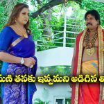 Trinayani Serial Today October 11th: ‘త్రినయని’ సీరియల్‌: పంచకమణి ఇవ్వమని గజగండను అడిగిన తిలొత్తమ్మ – రెండు మణులను అమ్మవారి సన్నిధిలో పెడతామన్న నయని