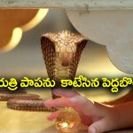 Trinayani Serial Today October 2nd: ‘త్రినయని’ సీరియల్‌: గాయత్రిని కాటేసిన పెద్దబొట్టమ్మ – సుమనను కొట్టిన నయని
