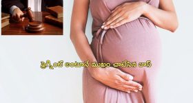 Maternity Leave Job Loss: మెటర్నిటి లీవ్ అడిగితే ఉద్యోగం నుంచి తొలగించిన బాస్.. ఆమె చేసిన తప్పేంటంటే..