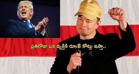 Elon Musk 1 Million dollar: డైలీ ఒకరికి రూ.8 కోట్లు ఇస్తా.. అమెరికా ఎన్నికల ప్రచారంలో మస్క్ సంచలన ప్రకటన