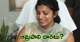 Amrapali IAS : ఏపీలో ఆమ్రపాలికి నో ఛాన్స్? నెక్ట్ స్టెప్ అదేనా?
