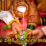 TTD Wedding Gifts: వివాహం నిశ్చయమైందా.. అయితే ఈ గొప్ప అవకాశం మిస్ కావద్దు.. శ్రీవారి కానుక ఉచితంగా మీ చెంతకు..