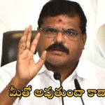 Diarrhea In Gurla: పవన్ కళ్యాణ్ అలా వెళ్లారు.. ఇలా ఒక ప్రాణం పోయింది.. ఈ మరణాలను ఆపాలని లేదా.. బొత్స సూటి ప్రశ్న