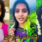 Puli Seetha: రోజా.. శ్యామలకు చుక్కలు చూపిస్తున్న పులి సీత.. ఈమె బ్యాక్ గ్రౌండ్ ఇదే!
