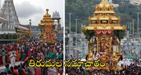 Pimples On Face: వీటిని వాడితే మీ ముఖంపై మొటిమలు రమ్మన్నా.. రావు