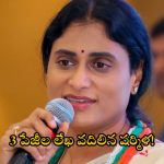 YS Sharmila: సీఎం అయ్యాడు.. విడిపోదామన్నాడు.. దారుణంగా అవమానించాడు.. జగన్ గుట్టు రట్టు చేసిన షర్మిళ