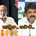 YCP Leaders Fires On Chandrababu: ఆస్తుల కోసమే షర్మిళ ఆరాటం.. ఫ్యామిలీ గొడవల్లో బాబు జోక్యమెందుకో.. ఎంపీ వైవి, నాని