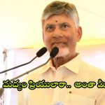 CM Chandrababu: మద్యం ప్రియులకు సూపర్ ఛాన్స్.. అలా చేస్తే ప్రశ్నించండి.. లేదా ఫిర్యాదు చేయండి: సీఎం చంద్రబాబు