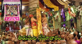 TDP on Pawan Kalyan: పవన్ కు ఇంగిత జ్ఞానం ఉందా? ఈ మాటలన్నది వైసీపీ కాదు టీడీపీ నేత.. భగ్గుమన్న జనసేన