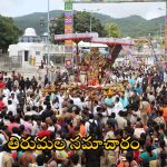 Tirumala: నవంబర్ నెలలో తిరుమలకు వెళ్తున్నారా.. టీటీడీ చేసిన ఈ ప్రకటన మీకోసమే.. దర్శనానికి ఎన్ని గంటల సమయం పడుతుందంటే?