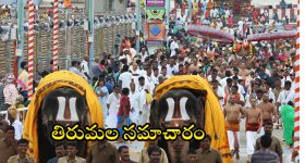 Hero Darshan Bail : దర్శన్ కి ఆపరేషన్... బెయిల్ పై నేడే తీర్పు...