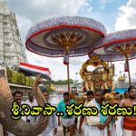 Tirumala Updates: తిరుమల శ్రీవారి దర్శనానికి వెళ్తున్నారా.. అయితే ఈ సమాచారం మీ కోసమే!