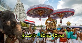 Tirumala Updates: తిరుమల శ్రీవారి దర్శనానికి వెళ్తున్నారా.. అయితే ఈ సమాచారం మీ కోసమే!