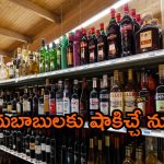 AP Liquor Policy: మద్యం షాపు యజమానులకు షాకింగ్ న్యూస్.. ఆ జీవో జారీ చేయాలంటున్న బ్రాహ్మణ చైతన్య వేదిక.. ప్రభుత్వం ఎలా స్పందించెనో ?