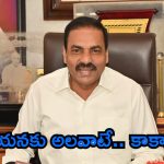 Kakani Govardhan Reddy: దోచేయడమే చంద్రబాబు నైజం.. నూతన మద్యం విధానం వారి కోసమే.. కాకాణి స్ట్రాంగ్ కామెంట్స్