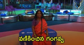 Bigg Boss Manikanta: ఏంటీ, నాగమణికంఠ మగాడు కాదా.. విస్తుపోయే నిజం..!