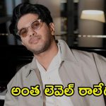Dulquer Salmaan: సూపర్ స్టార్లు మాత్రమే అలాంటి పని చేయాలి, నేను చేస్తే ఒప్పుకోరు.. దుల్కర్ ఆసక్తికర కామెంట్స్