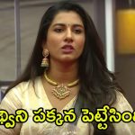 Bigg Boss 8 Telugu: సొంత టీమ్‌కు విష్ణుప్రియా వెన్నుపోటు.. పృథ్వి చెప్పిందే జరిగిందిగా!