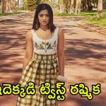 Rashmika Mandanna: బాలీవుడ్ సినిమాటిక్ యూనివర్స్‌లోకి రష్మిక.. ఊహించని ట్విస్ట్ ఇచ్చిందిగా!