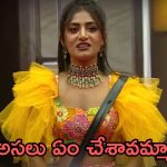 Bigg Boss 8 Telugu: రాయల్స్ వర్సెస్ ఓజీ, ఒకరిపై ఒకరు చాడీలు.. అసలు నయని పావని ఏం చేసింది భయ్యా?