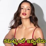 Tripti Dimri: నేను ఎవ్వరినీ మోసం చేయలేదు.. తనపై వస్తున్న ఆరోపణలపై క్లారిటీ ఇచ్చిన ‘యానిమల్’ బ్యూటీ