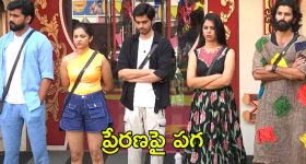 Bigg Boss Sita : బిగ్ బాస్ నుంచి బయటకొచ్చినా ఆ కోరిక తీరలేదని సీత ఎమోషనల్..