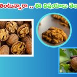 Walnuts: వాల్ నట్స్ తింటున్నారా ? అయితే ఈ విషయాలు తప్పక తెలుసుకోండి