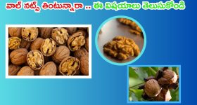 Ponguleti: త్వరలోనే ROR చట్టాన్ని తీసుకురాబోతున్నాం: మంత్రి పొంగులేటి