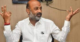 Facial At Home: పండగ సమయంలో మెరిసిపోవాలా ? వీటితో ఇంట్లోనే ఫేషియల్ చేసుకోండి