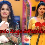 Bigg Boss 8 Telugu : బిగ్ బాస్ ఓటింగ్ తారుమారు.. విష్ణు ప్రియా ఎలిమినేటె అవుతుందా?