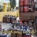 LPG cylinder rates: మరో బిగ్ షాక్.. భారీగా పెరిగిన గ్యాస్ సిలిండర్ ధరలు