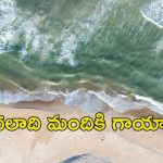 Stampede: తొక్కిసలాటలో నలుగురు మృతి.. వందలాది మందికి గాయాలు.. ఈ తీవ్ర విషాదం ఎక్కడ జరిగిందంటే?