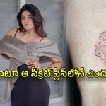 Dimple Hayathi : డింపుల్ పాప సీక్రెట్ టాటూ.. ఇంత మార్పు ఎందుకో..?