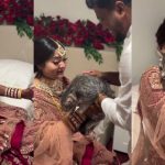 Viral Video: పెళ్లి కూతురికి పిల్లి బహుమతి- ఎలా వస్తాయ్ బ్రో ఇలాంటి ఆలోచనలు?