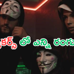 Types Of Hackers : బాబోయ్.. హ్యాకర్స్ లో ఎన్ని రంగులో.. ఒకరు చేసిన పని మరొకరు చేయరా.. దిమ్మతిరిగే నిజాలివే!