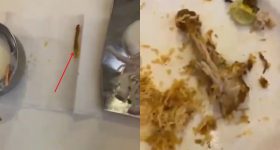 Jerry in Chicken Biryani: బిర్యానీలో ప్రత్యక్షమైన జెర్రీ.. కంగుతిన్న కస్టమర్.. ఇదేంటని హోటల్ సిబ్బందిని అడిగితే...