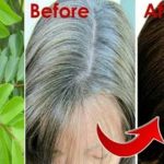 Curry Leaves Hair Oil: కరివేపాకుతో ఇలా చేస్తే.. తెల్లజుట్టు నల్లగా మారడం పక్కా
