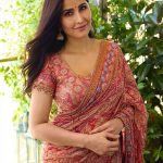 Katrina Kaif: ఫెస్టివల్ హంగమా, కత్రినా శారీ రేటు ఎంతో తెలుసా?