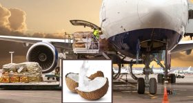 Coconuts In Flights: విమానాల్లో కొబ్బరి కాయలు తీసుకెళ్లకూడదు.. ఎందుకో తెలుసా?