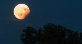 Sharad Purnima 2024: అక్టోబర్ 16 న శరద్ పూర్ణిమ.. ఈ పనులు చేస్తే అన్నింట్లోను విజయాలే