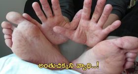 Horoscope 1 october 2024: నేటి రాశి ఫలాలు.. ఈ రాశి వారికి ఆదాయం పదింతలు!