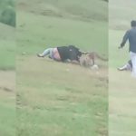 Leopard Attacks: చిరుత పులితో రీల్స్.. చీల్చి పడేసిందిగా, ఈ వీడియో చూస్తే వణికిపోతారు!