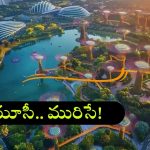 Musi Riverfront Document: మూసీ నది పునరుజ్జీవనం.. ఆపై హైదరాబాద్‌కు పునరుత్తేజం