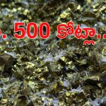 Narsingi: నార్సింగిలో బంగారు గని..?