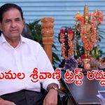 Tirumala Darshan : తిరుమలలో సామాన్యులకు త్వరగా దర్శనం అయ్యేలా చర్యలు తీసుకుంటా…