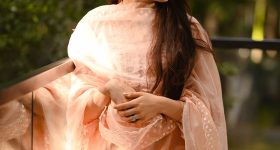 Pranitha Subhash: వాహ్.. తలుక్కున మెరుస్తున్న ప్రణీత సుభాష్